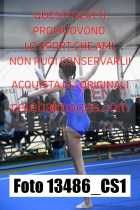 13486_CS1-