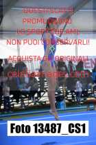 13487_CS1-