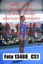 13488_CS1-