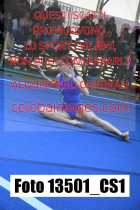 13501_CS1-