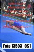 13503_CS1-