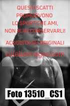 13510_CS1-