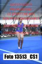 13513_CS1-