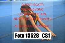 13528_CS1-
