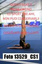 13529_CS1-