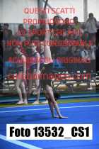 13532_CS1-
