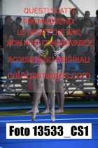 13533_CS1-