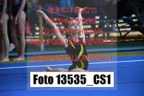 13535_CS1-