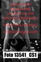 13541_CS1-