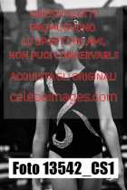 13542_CS1-