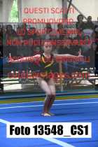 13548_CS1-