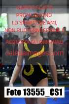 13555_CS1-