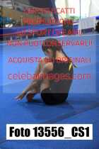 13556_CS1-