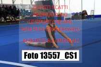 13557_CS1-