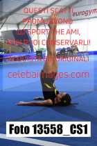 13558_CS1-