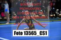 13565_CS1-