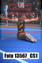 13567_CS1-
