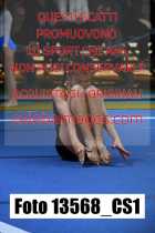 13568_CS1-