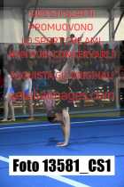 13581_CS1-