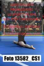 13582_CS1-