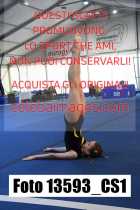 13593_CS1-