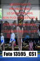 13595_CS1-