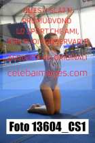 13604_CS1-