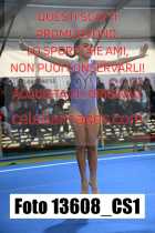 13608_CS1-