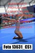 13631_CS1-