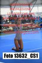 13632_CS1-