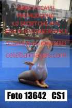 13642_CS1-