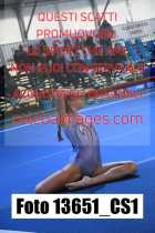 13651_CS1-