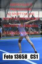 13658_CS1-