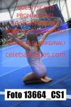 13664_CS1-