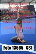 13665_CS1-