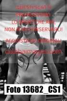 13682_CS1-