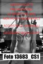 13683_CS1-