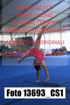 13693_CS1-