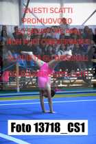 13718_CS1-