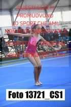 13721_CS1-