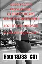 13733_CS1-