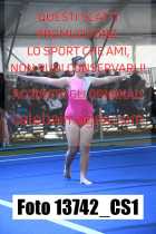 13742_CS1-