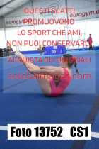 13752_CS1-