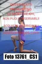 13761_CS1-