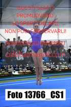 13766_CS1-