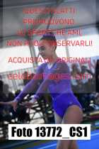 13772_CS1-