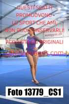 13779_CS1-