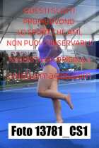 13781_CS1-