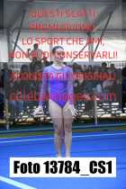 13784_CS1-
