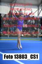 13803_CS1-